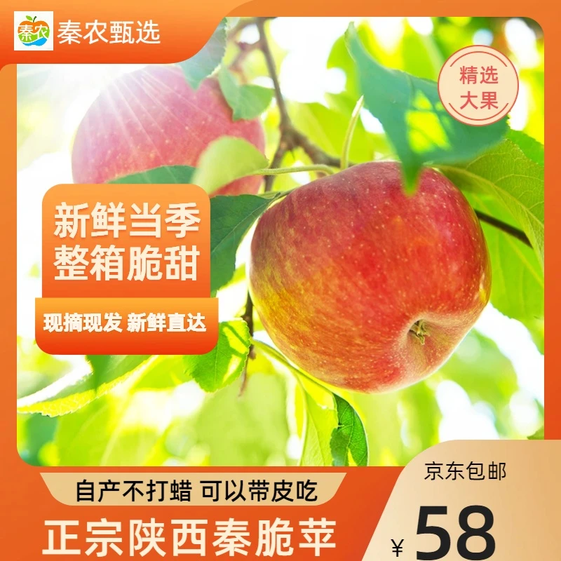 正宗【陕西秦脆】苹果新鲜应季脆甜多汁皮薄肉脆