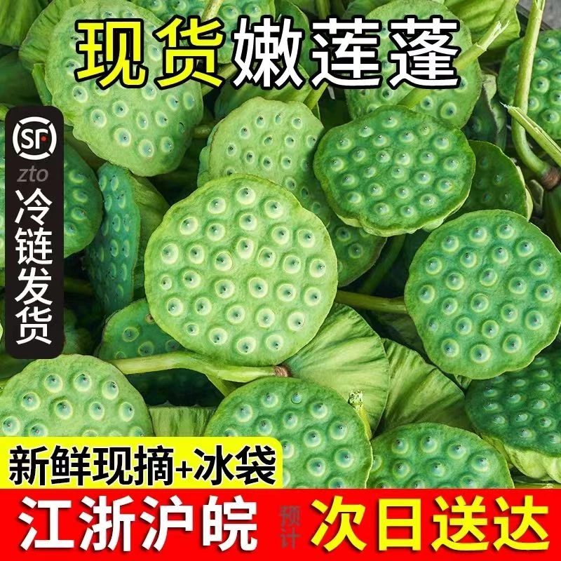 新鲜莲蓬水果嫩莲蓬 安徽芜湖即食嫩莲蓬莲子现摘现发【顺丰包邮】