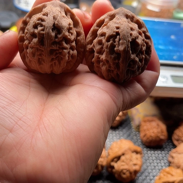 把件桃核全品红锦鲤边40肚42