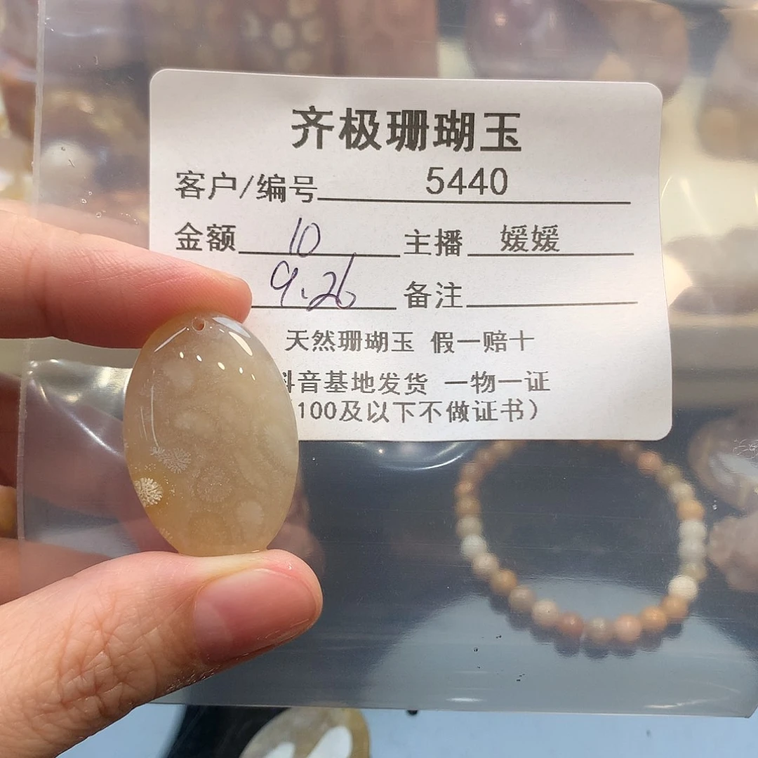 未镶嵌颈饰硅化珊瑚（珊瑚玉）?***?