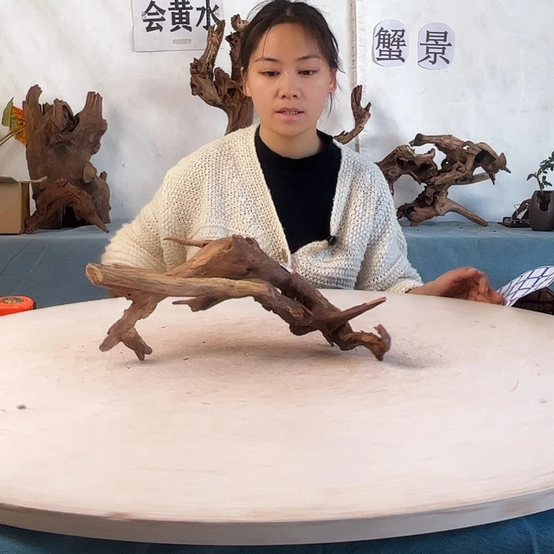 周末福利沉木造景爬宠造景