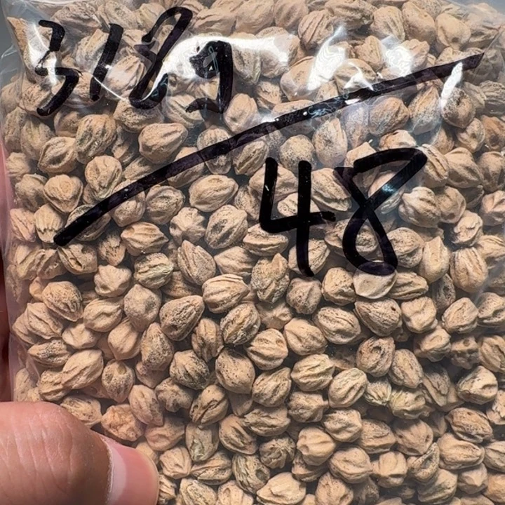 柏香籽/百香籽吊坠阿*