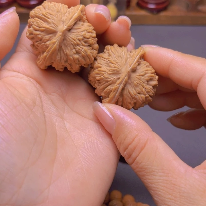 核桃专用链接，四座楼