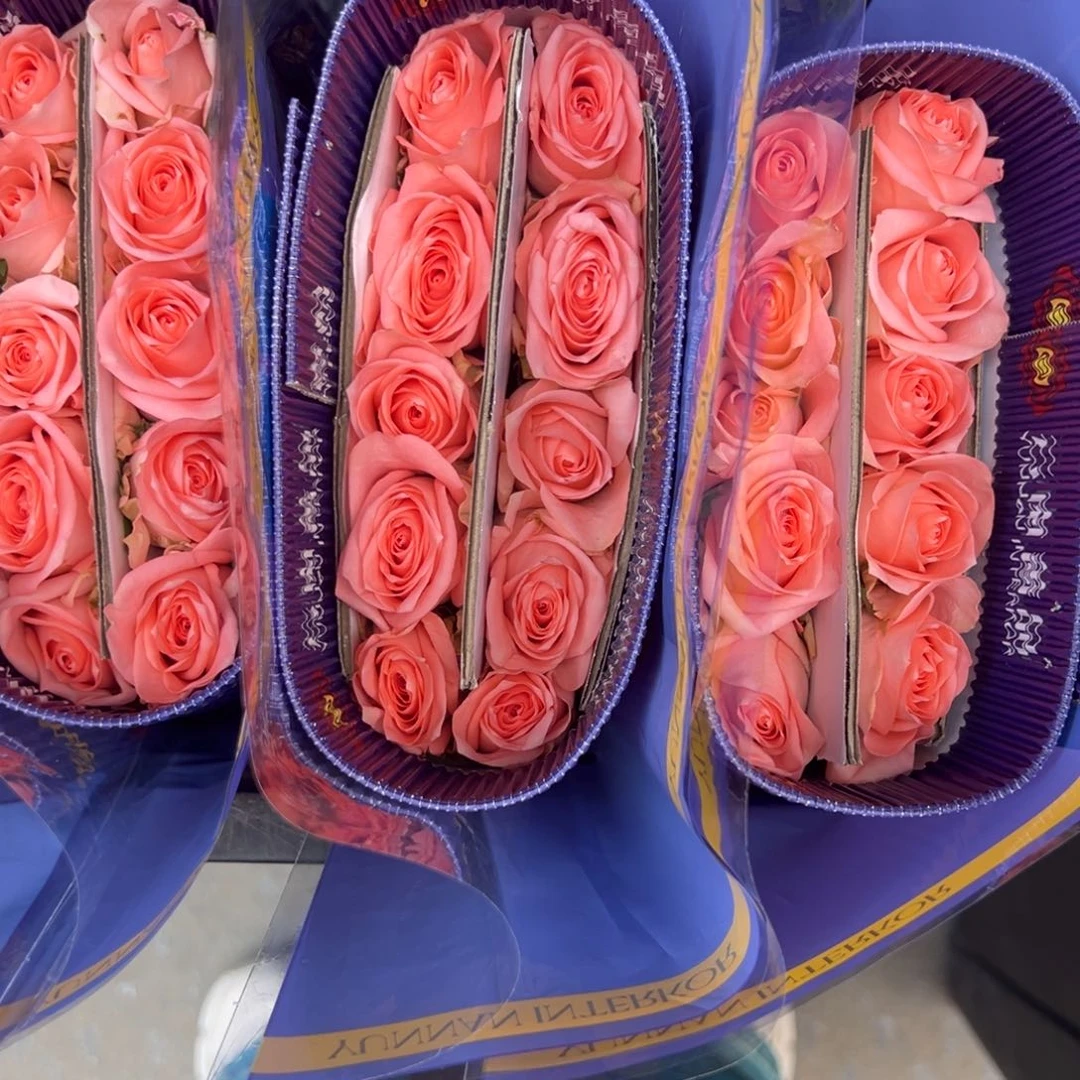 蔷品 吻你10支装 拍满三单包邮