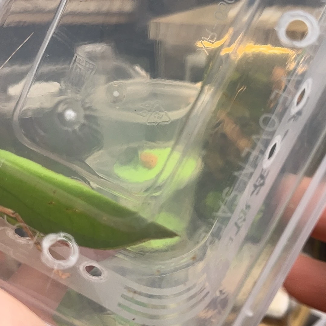 职***朱1条特价素贝哈哈哈哈哈哈哈