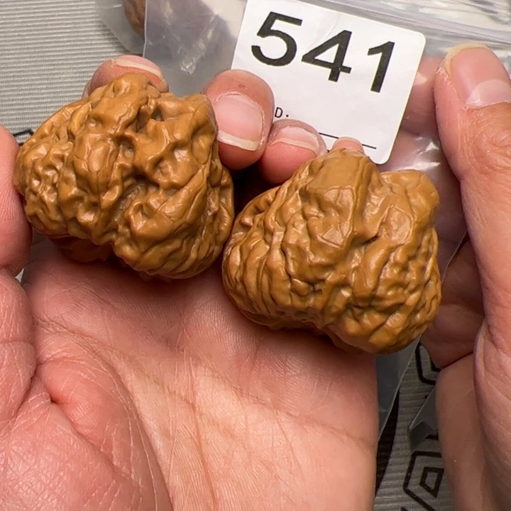 核桃边42肚45尺541号蛙