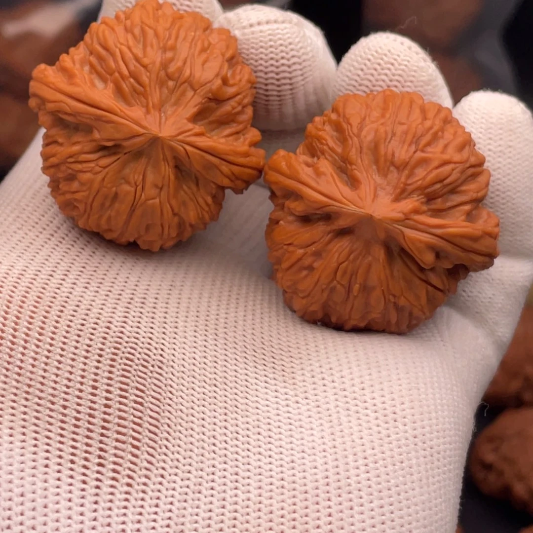 L***⁶吊坠文玩核桃40全品原树蛟龙