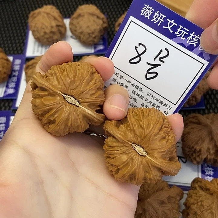 木质类8号白狮子42