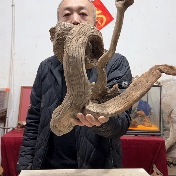 柏木我**良我们的生活也是如此