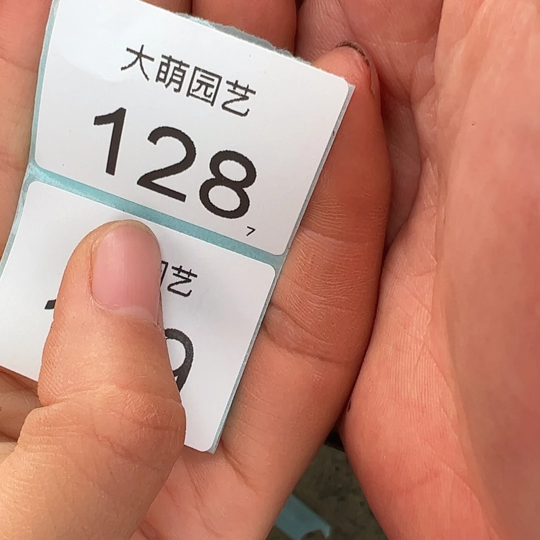 Y****）0000128 一物一拍……