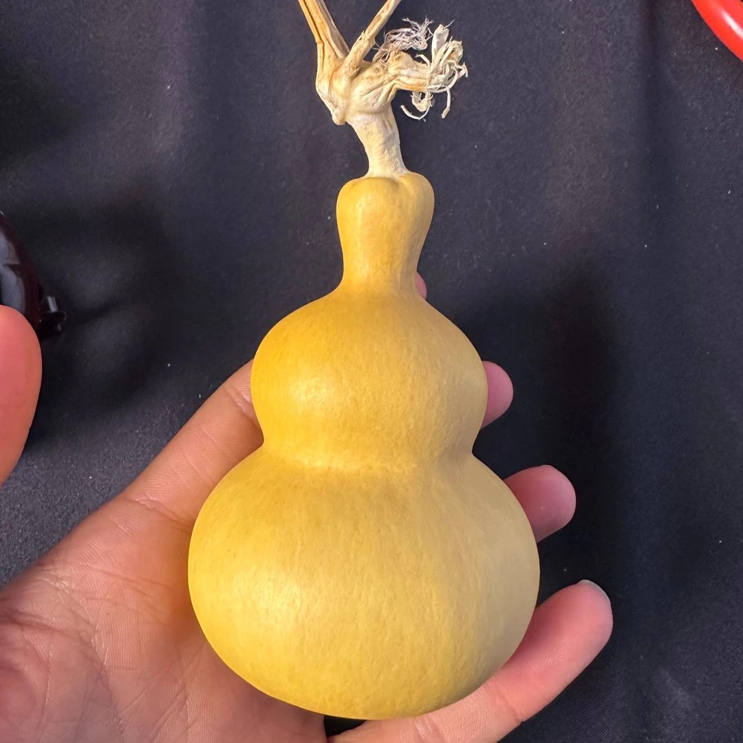 直播间葫芦一物一拍请勿乱拍哦