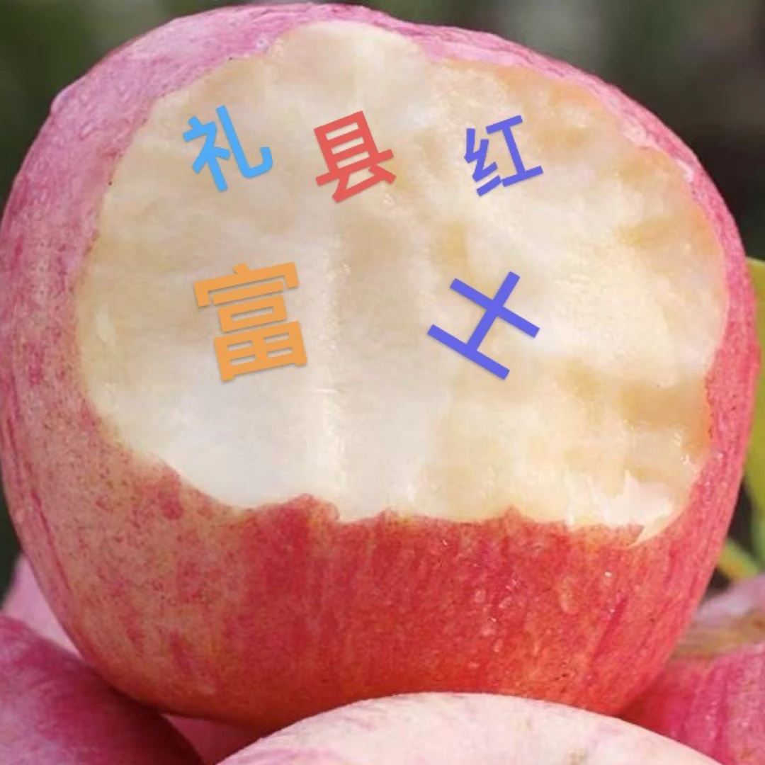 甘肃礼县红富士苹果脆甜多汁当季新鲜水果