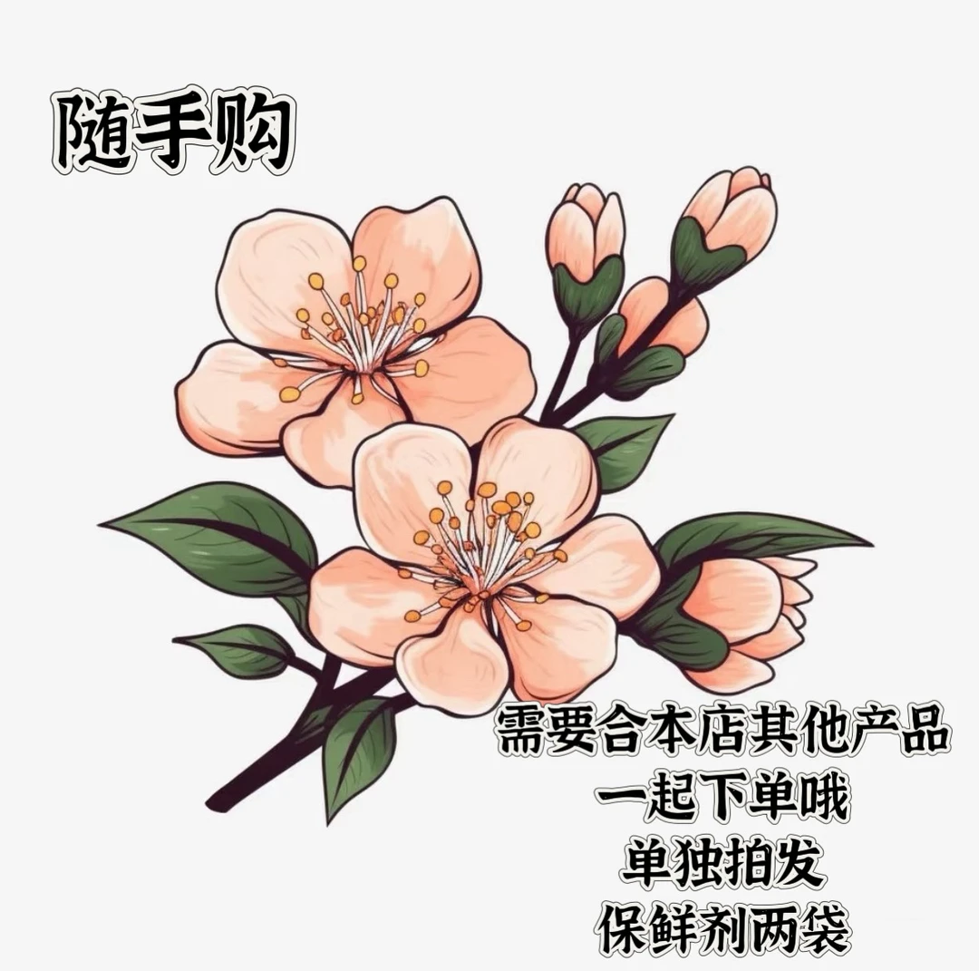 【随手购】拍1单正价品再拍此链接是鲜花【单拍此链接发保鲜剂5包】