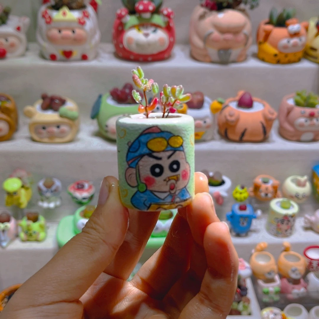 015高端多肉带盆土一套30