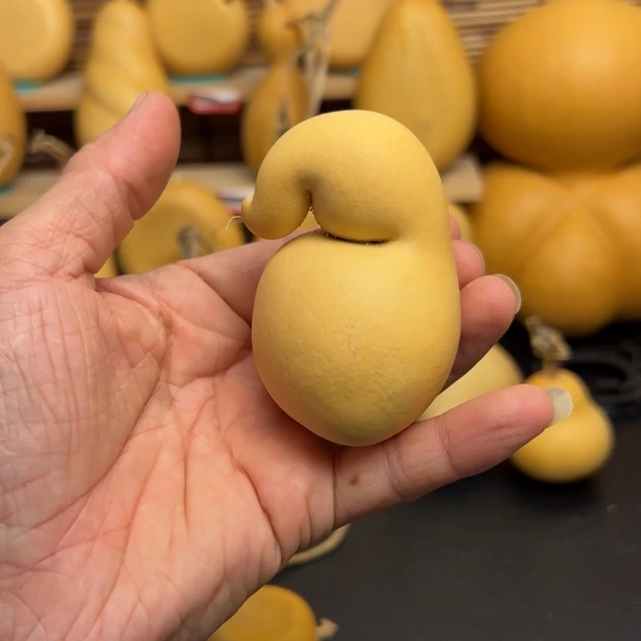 布*噜566669999999999999999