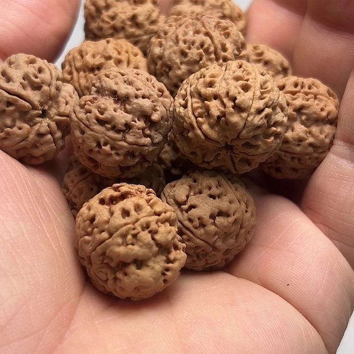 金刚菩提吊坠5瓣23至尊梅花