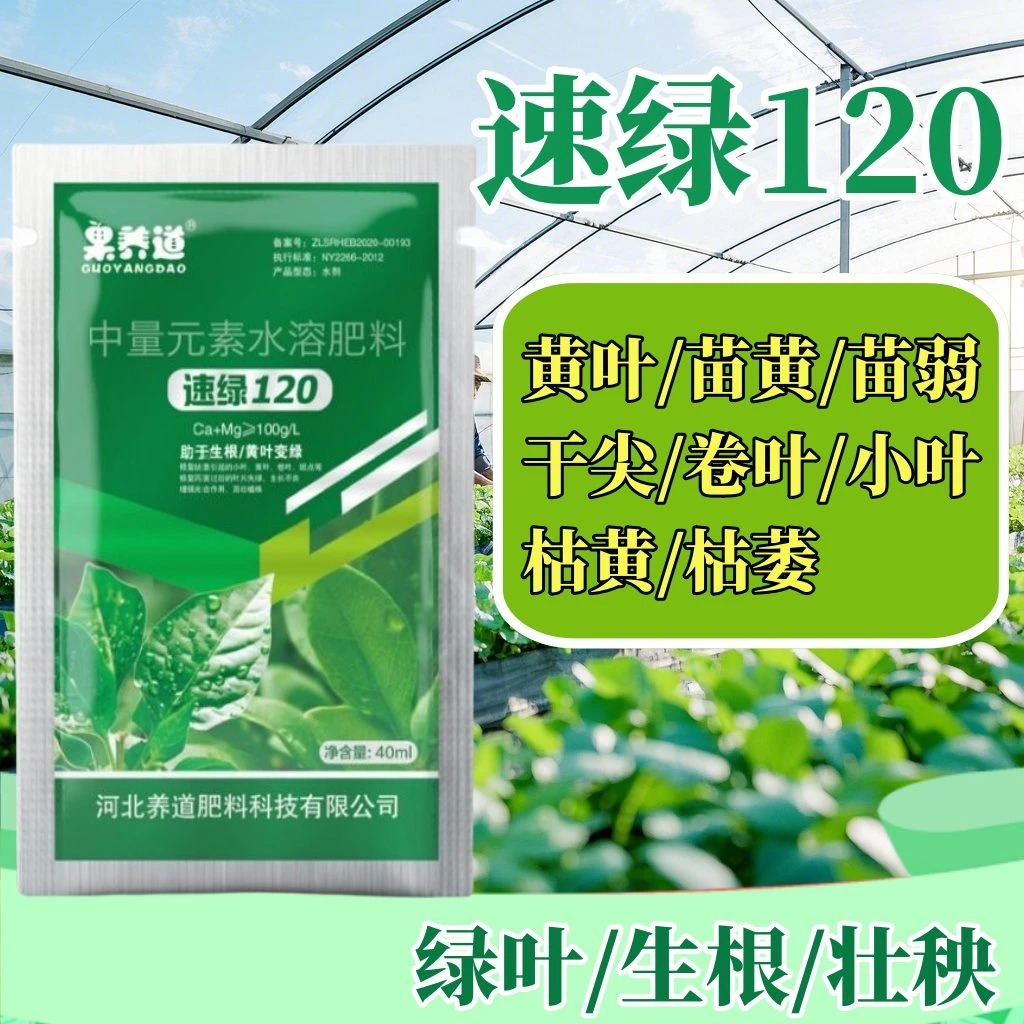 果养道速绿120叶面肥水溶肥提高叶绿素增强氨基酸农资肥料绿叶