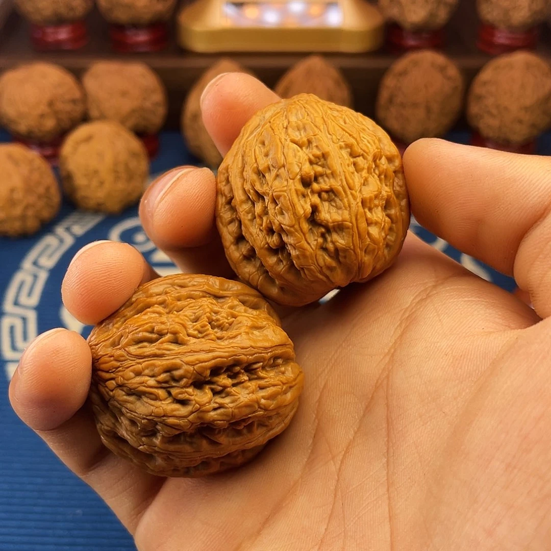 鼠**福回血御尊哈哈哈哈哈哈160