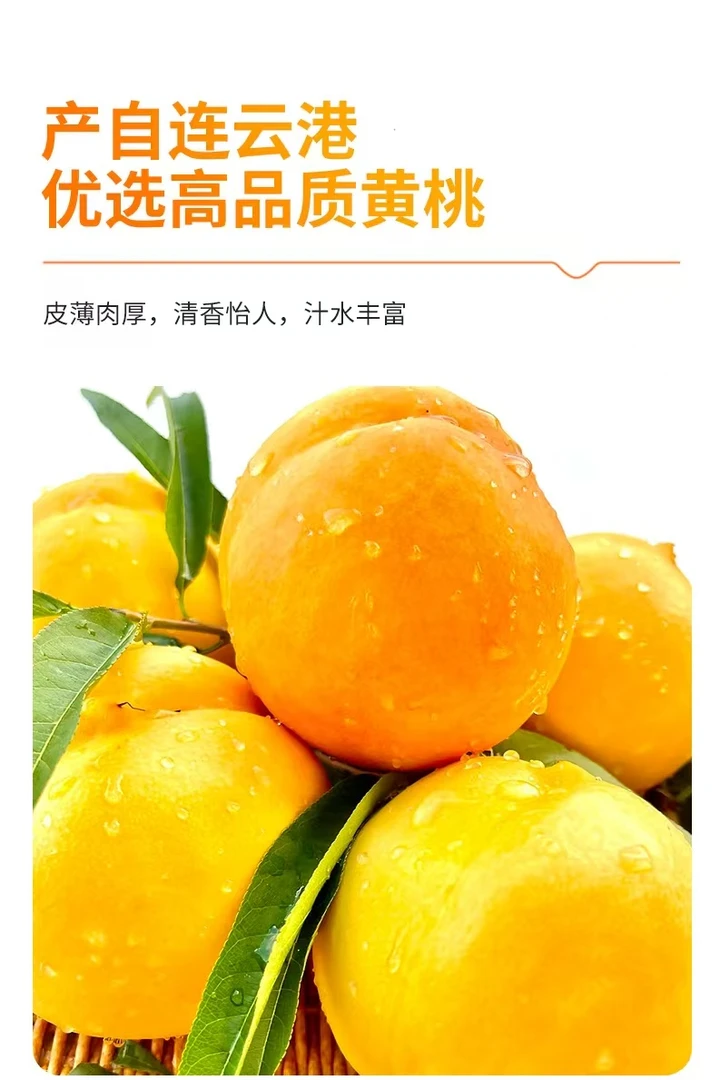 【金葵黄桃】头茬鲜黄桃清甜多汁新鲜采摘自然成熟包邮到家