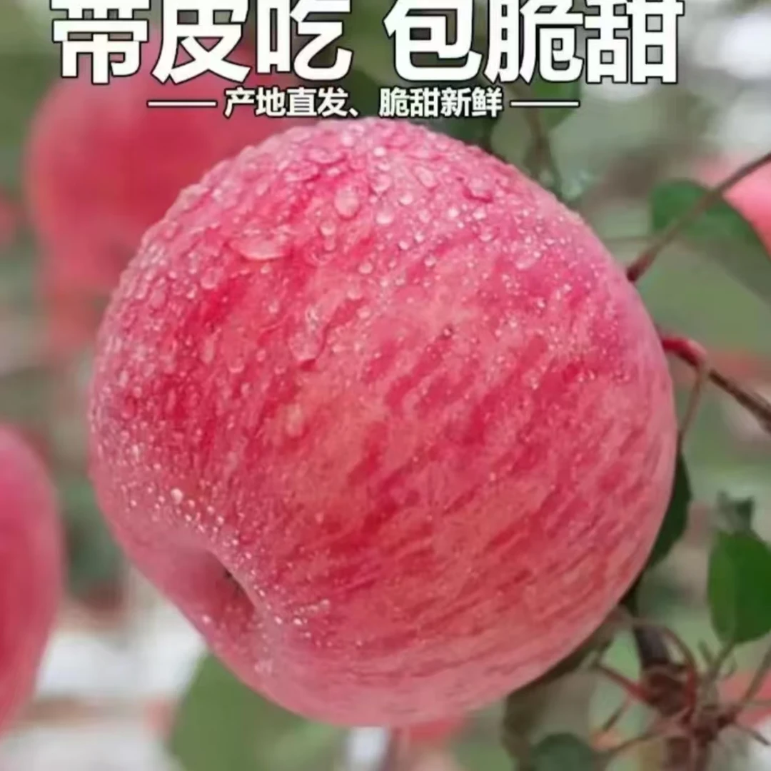 红富士产地直发特级山东苹果脆甜冰糖心苹果红富士新鲜苹果