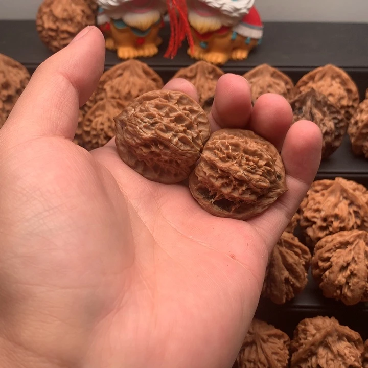 其他核桃十**5秦岭的森林