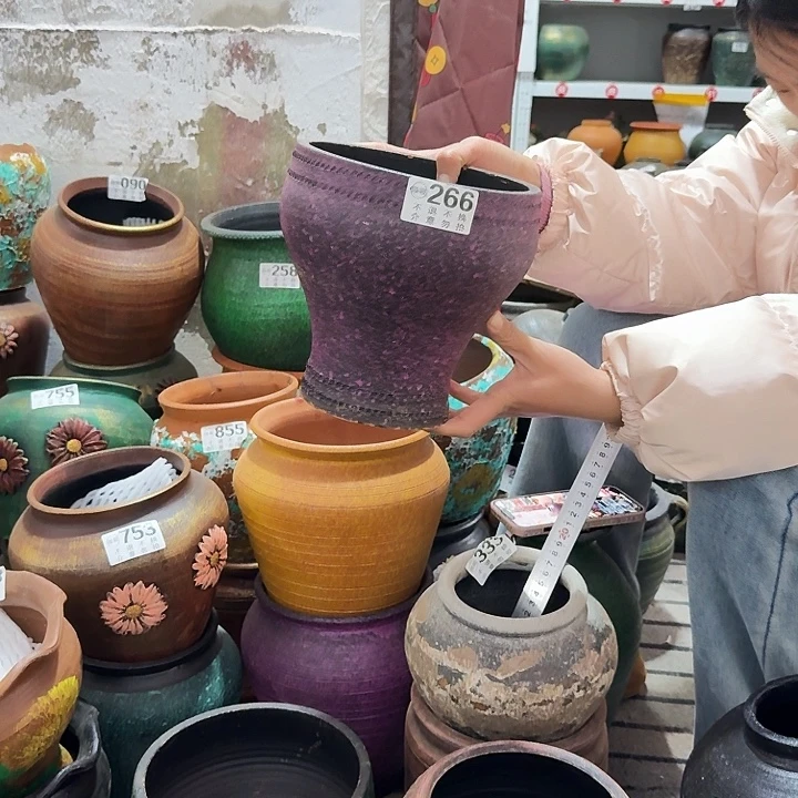 紫色鱼尾266高度20口径17