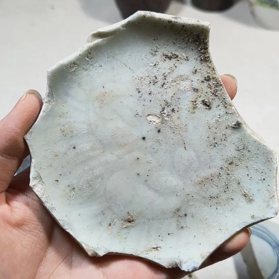 瓷片瓷片瓷片瓷片瓷片