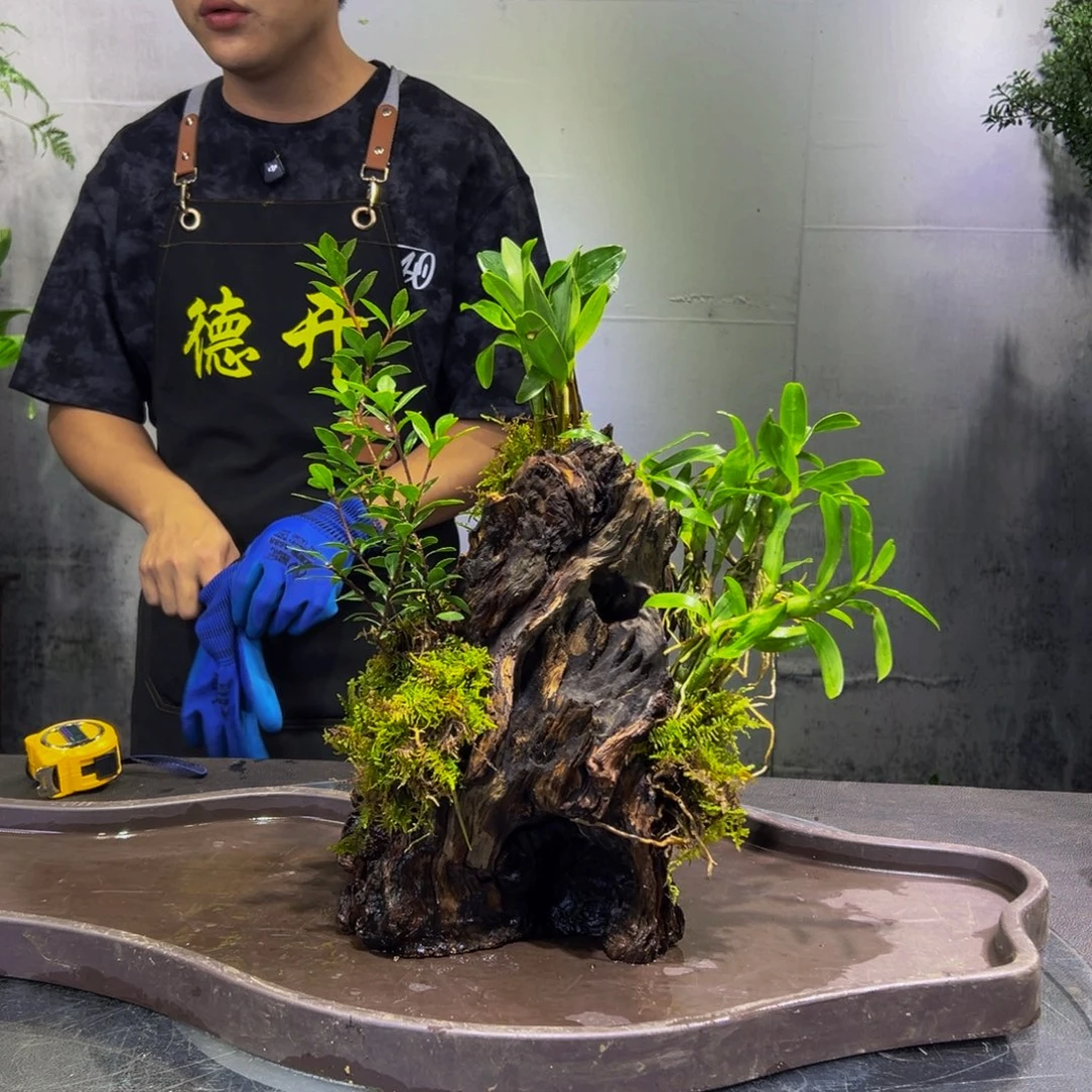 李***叔无花朵111111111111111111