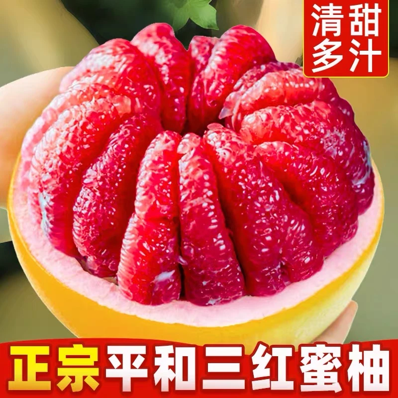 福建三红蜜柚新鲜水果果肉厚实多汁颗粒饱满