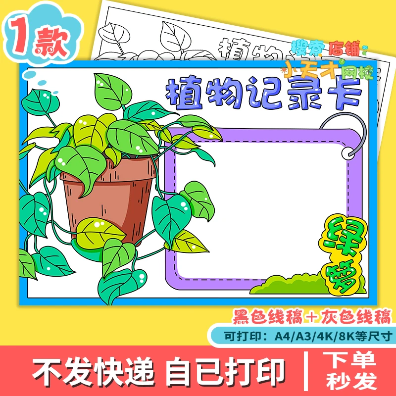 绿萝植物记录卡手抄报三年级植物生长名片电子线稿读书卡e301
