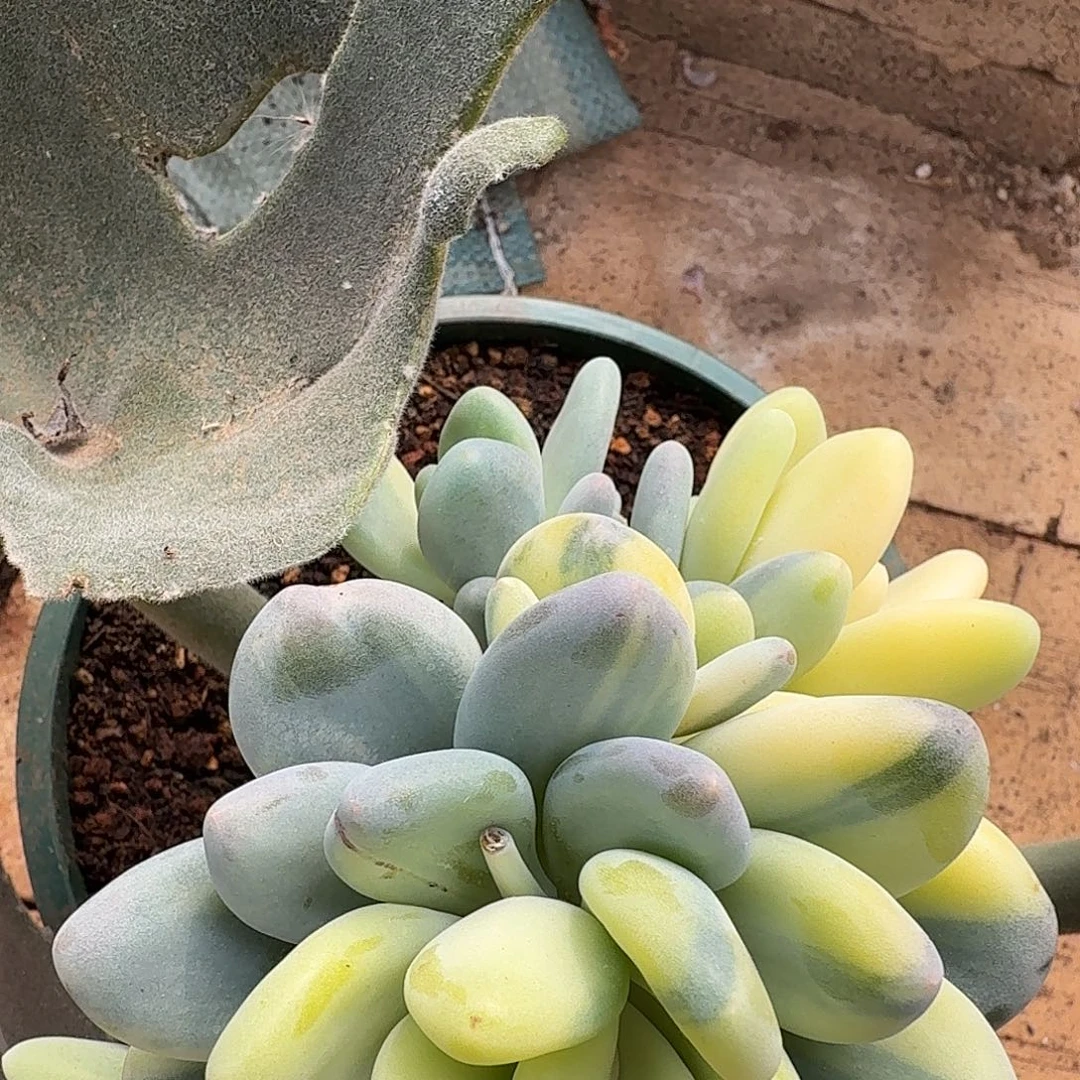 拾***光时光111111221-600