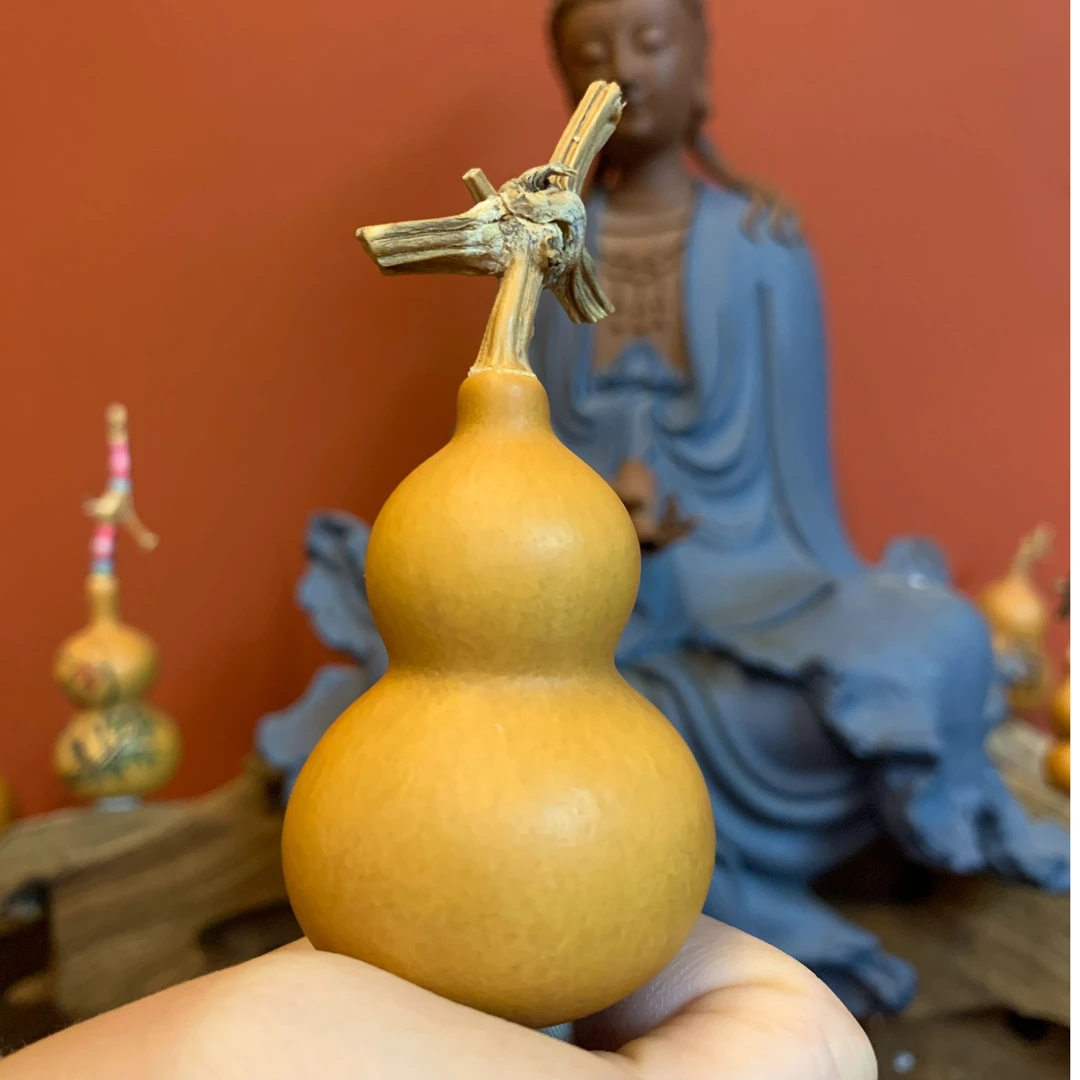 文玩葫芦（直播间选货）