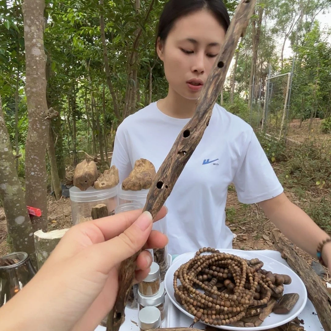 天然虫漏 熏香品香