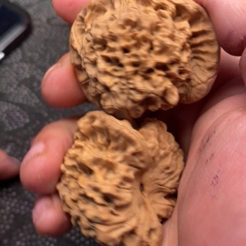 文玩核桃把件官帽5.5