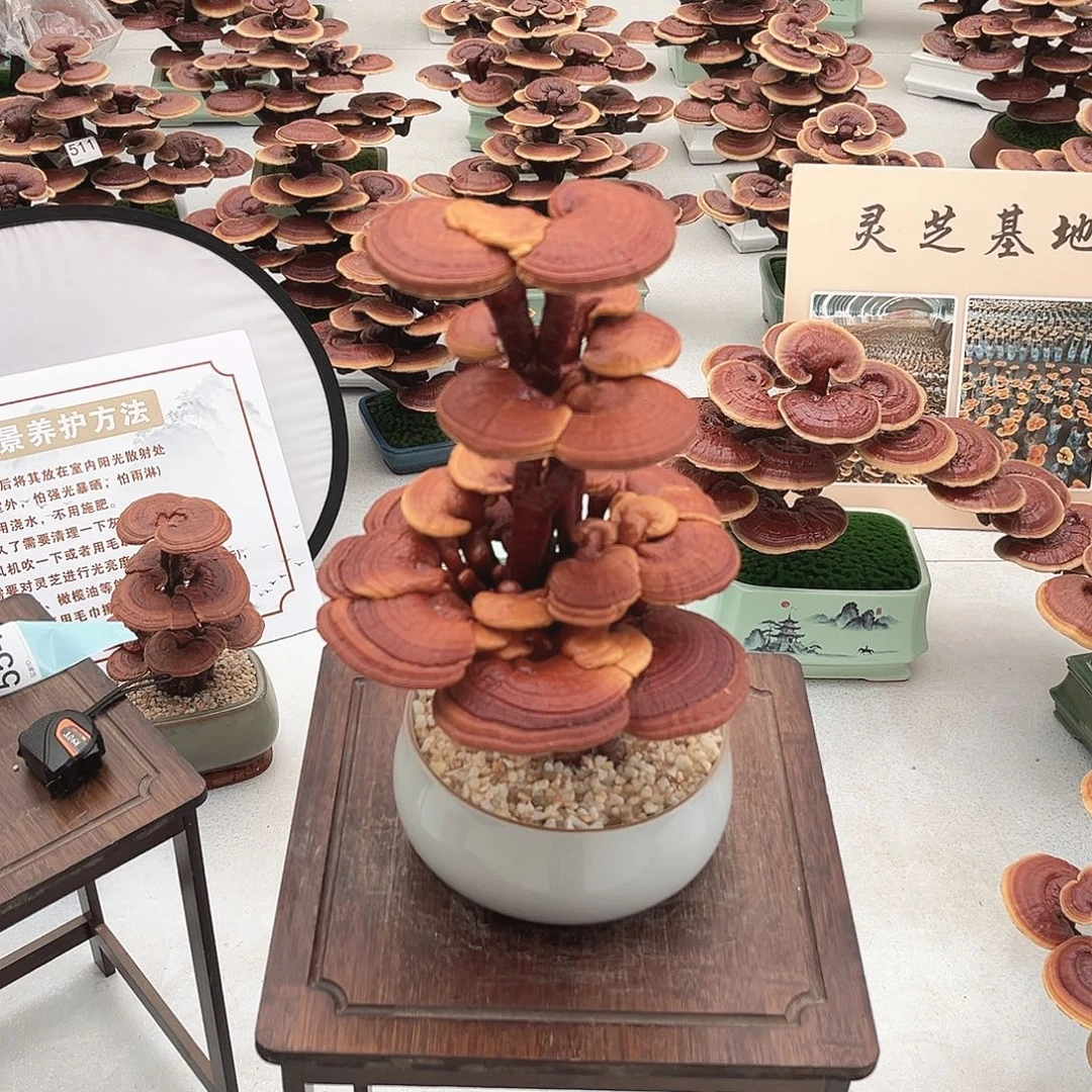 无花朵万事如意8888888888888