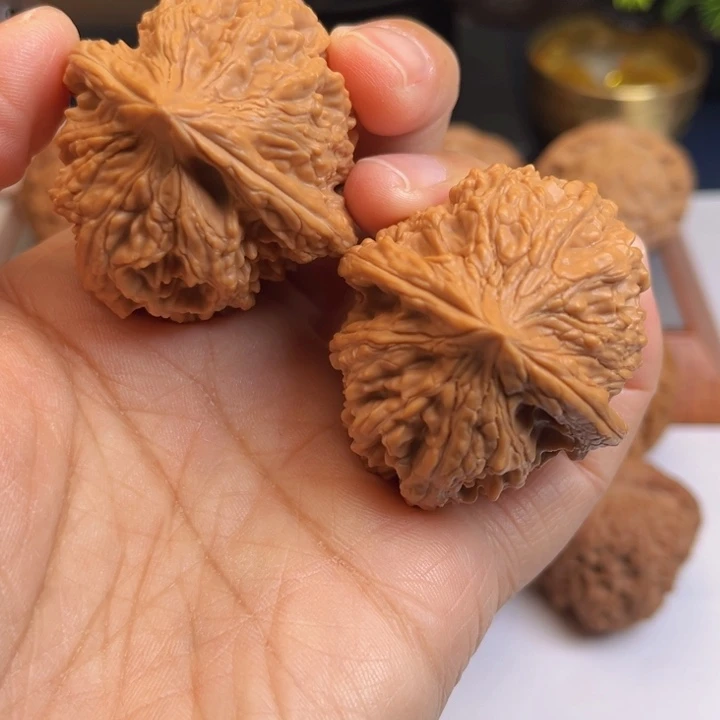 木质类文玩核桃大孤石41