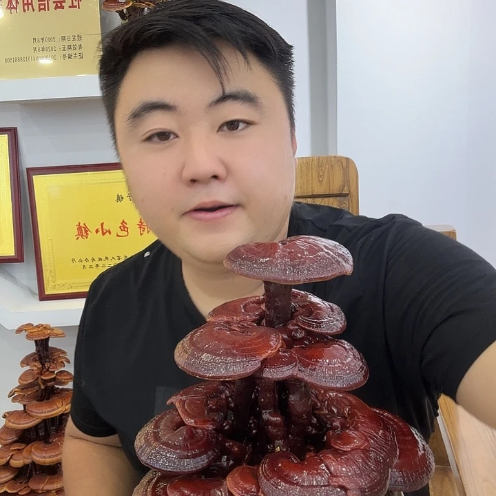 无花朵游**生灵芝花开了