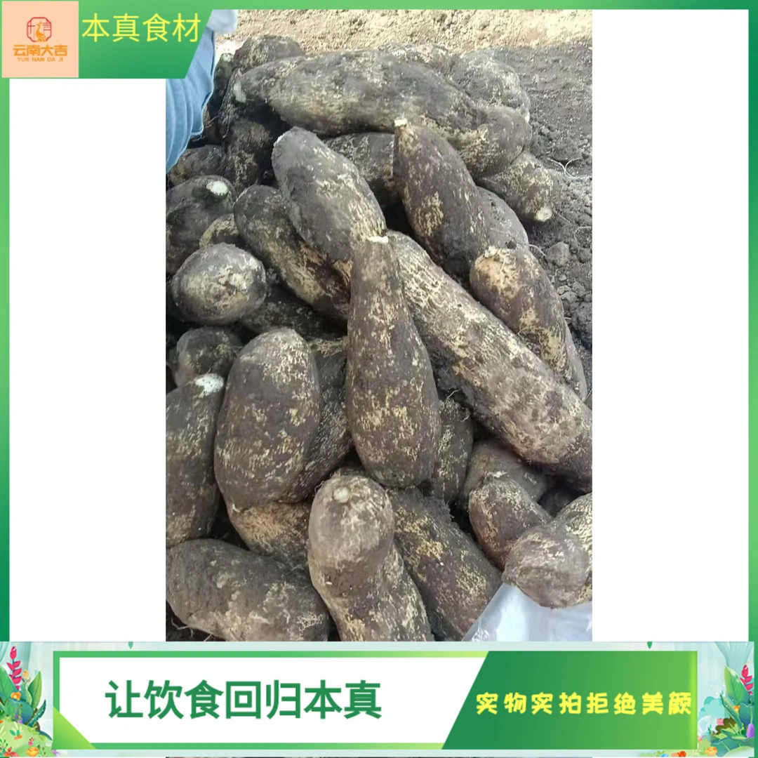 云南特色菜佛手瓜根洋丝瓜根寿瓜根纯正农产品