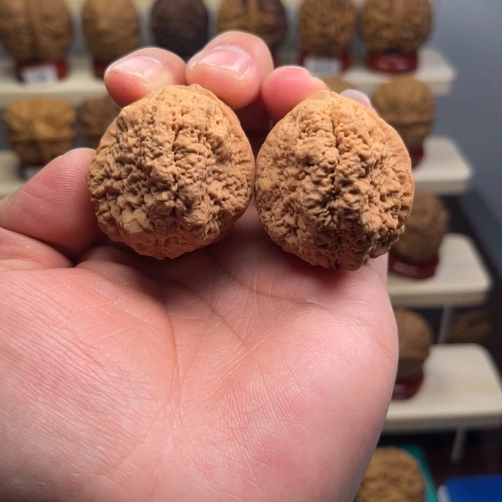 把件文玩核桃临沧古蟾王41尺