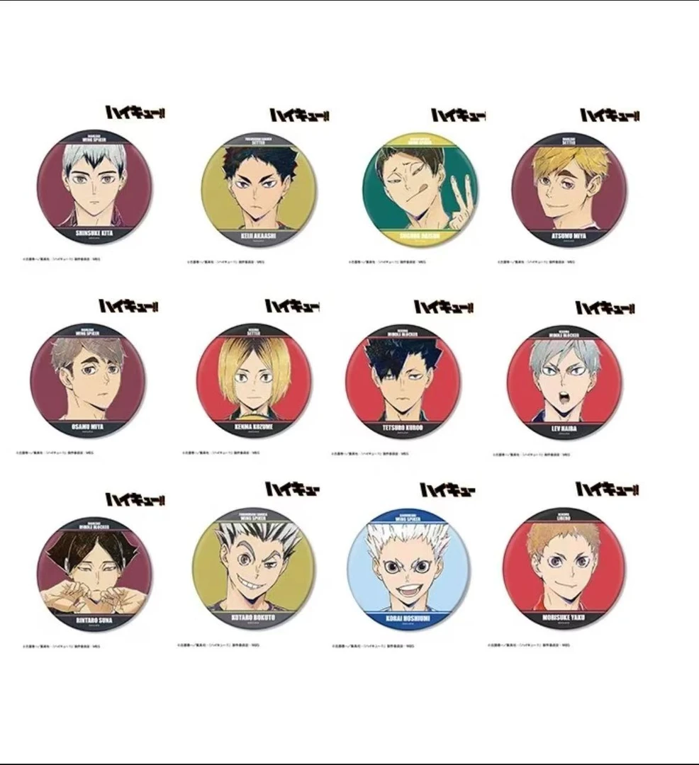 排球少年 AMNIBUS AniArt BIG可立吧唧