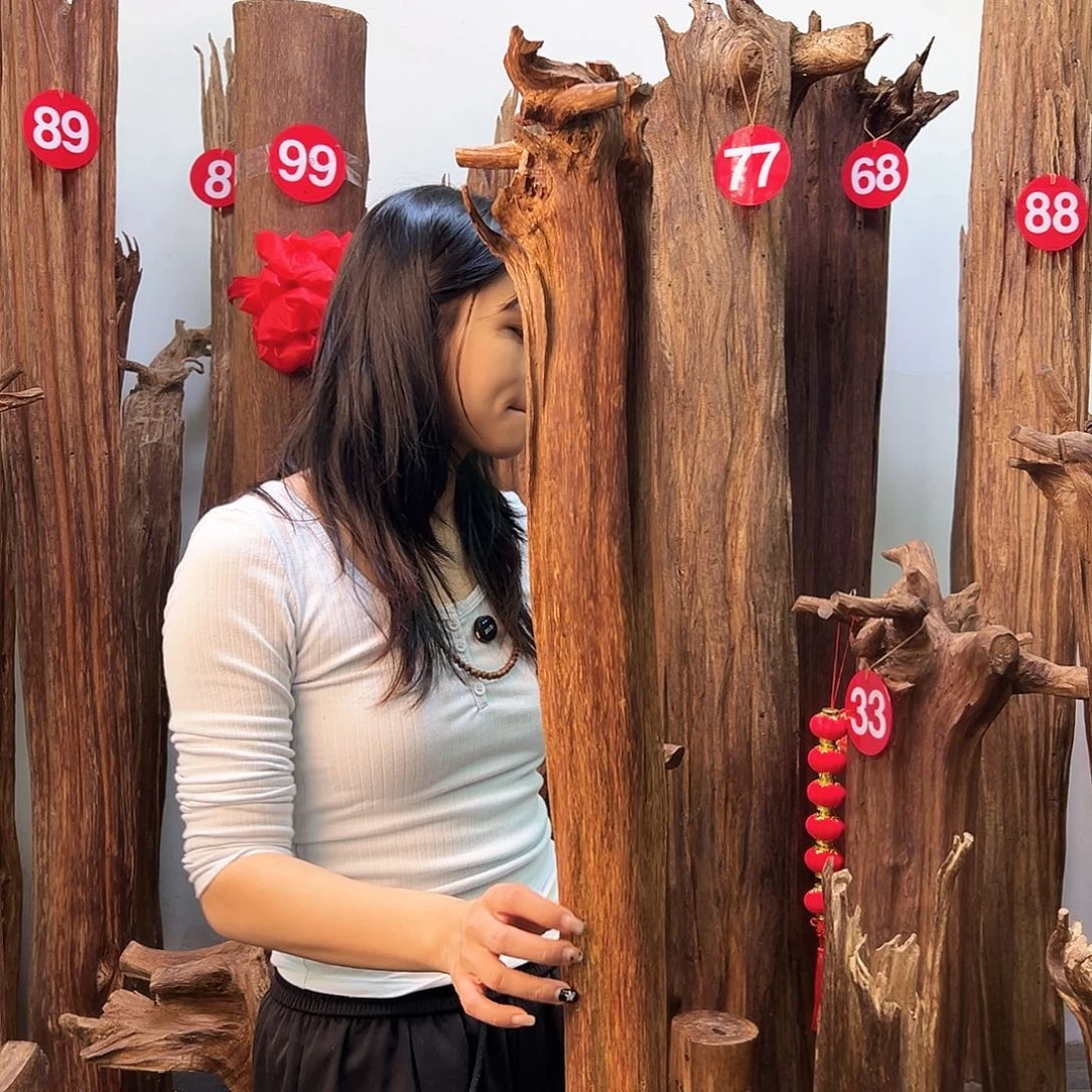 摆件沉香天然沉香原材料高品质