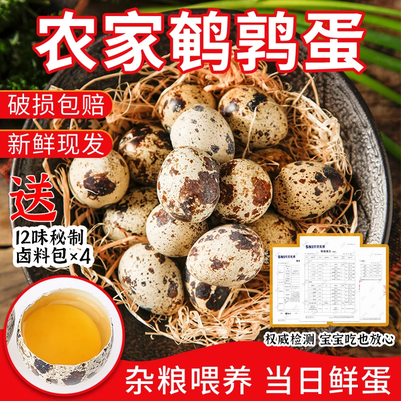 新人价50-100枚新鲜鹌鹑蛋农家杂粮喂养整箱批发宝宝孕妇辅食40枚