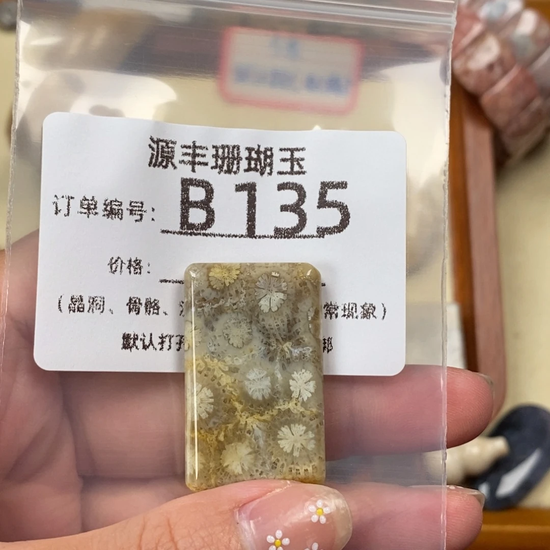 赛***车硅化玉未镶嵌颈饰