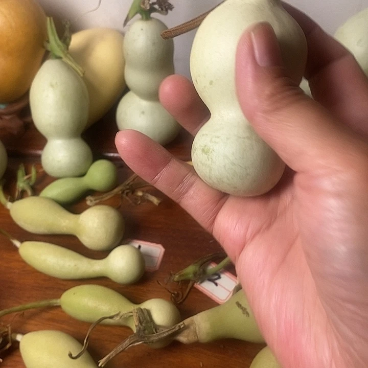 p***n腰子葫芦手把件葫芦