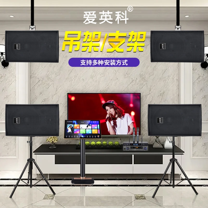 爱英科专业12寸家庭影院KTV小型酒吧户外演出音响套装无线会议