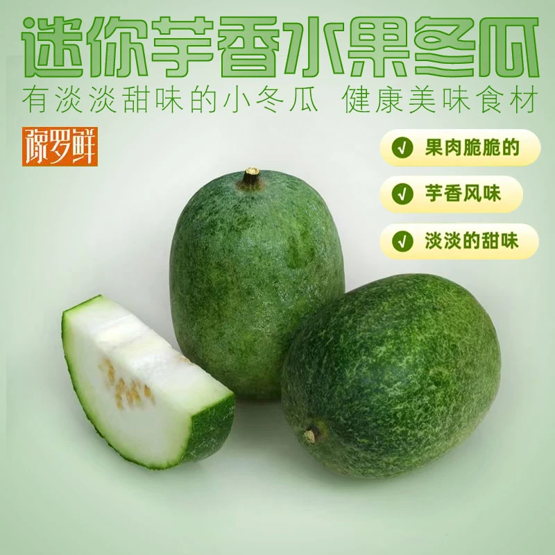正宗芋香味水果冬瓜迷你小冬瓜农业灯塔新品冬瓜现摘新鲜小冬瓜