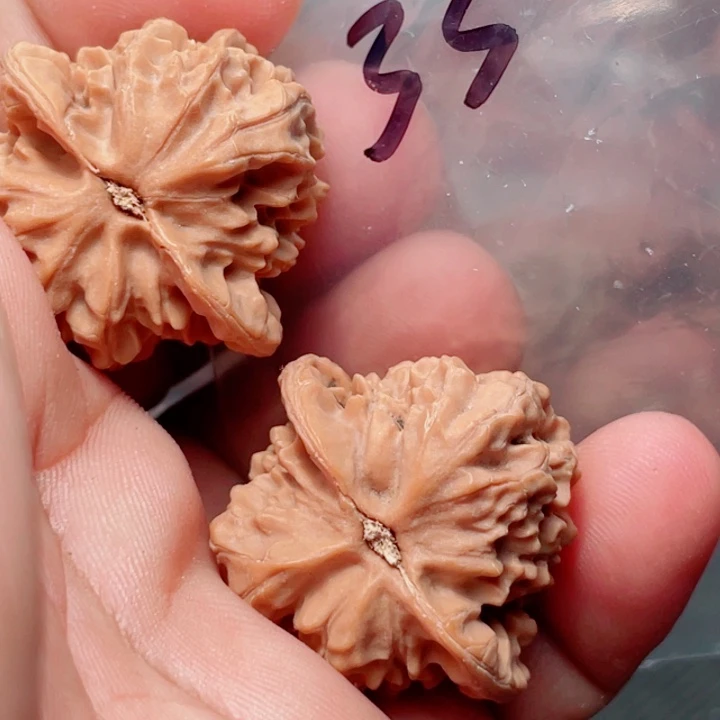 猴头核桃把件与**行龙鳞