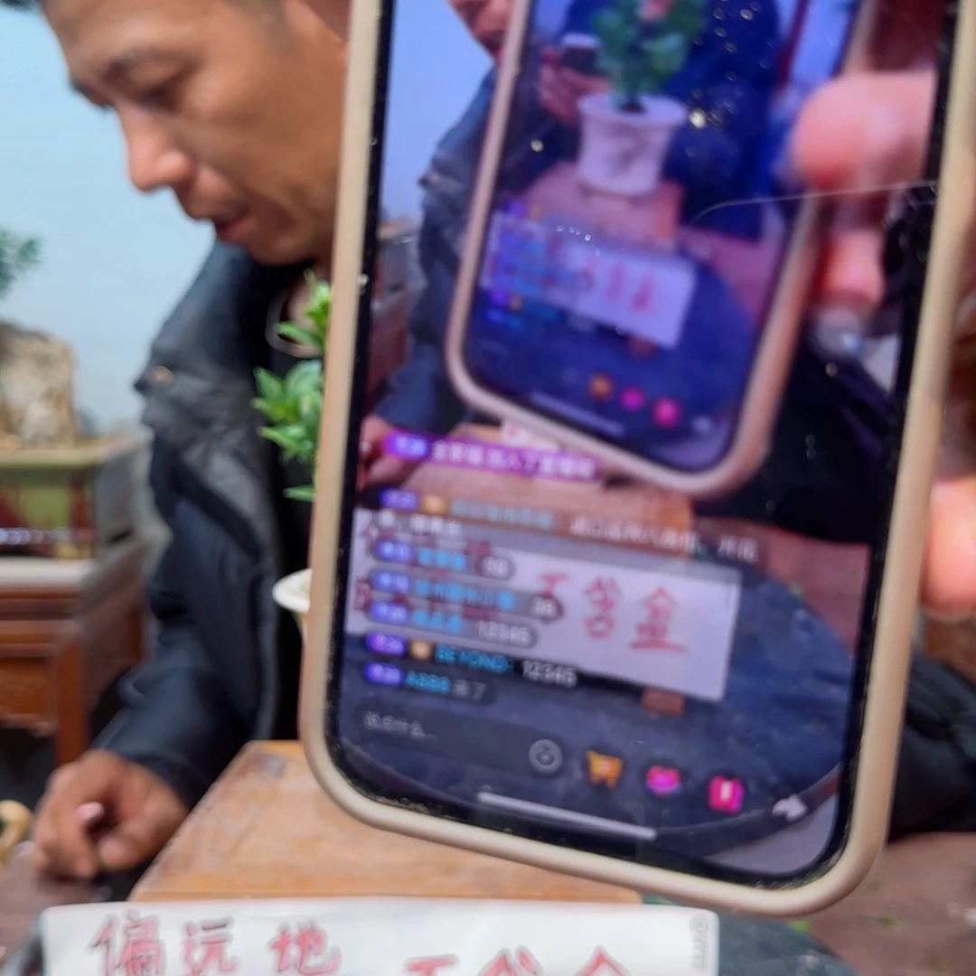 当前无花朵，栽培后可花朵君*食