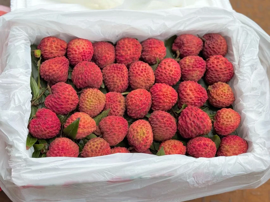 刘婆婆海南 荔枝王 嫩滑多汁甜而不腻 肉质晶莹剔透