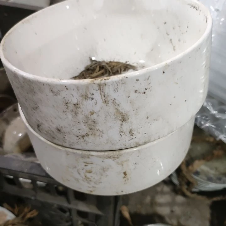 摆件陶瓷盘子碗啥都有